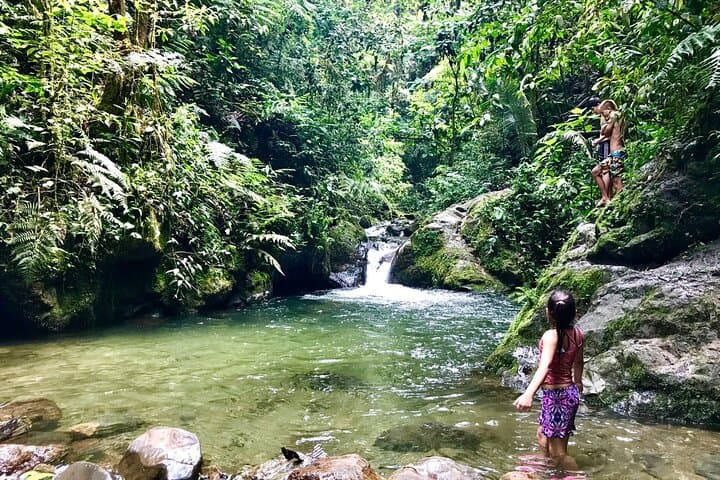 Santa Rita Waterfall Hike and Salento Walking Tour — Coffee Region Day Trip photo 5