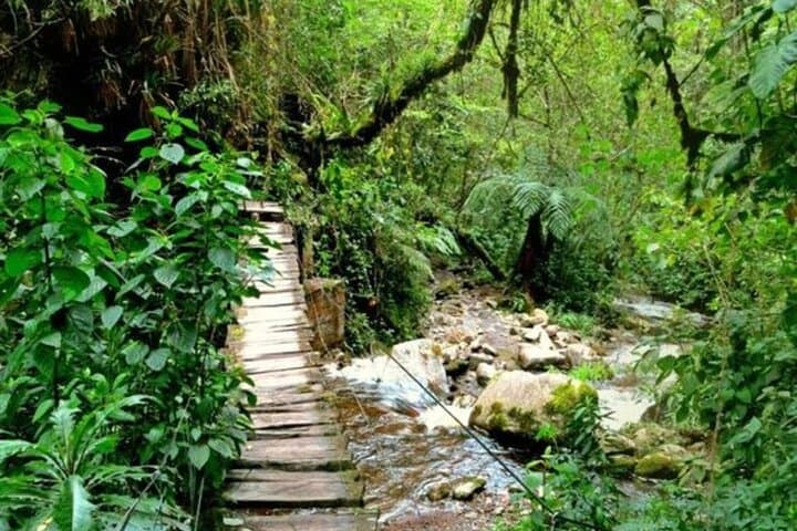 Santa Rita Waterfall Hike and Salento Walking Tour — Coffee Region Day Trip photo 6