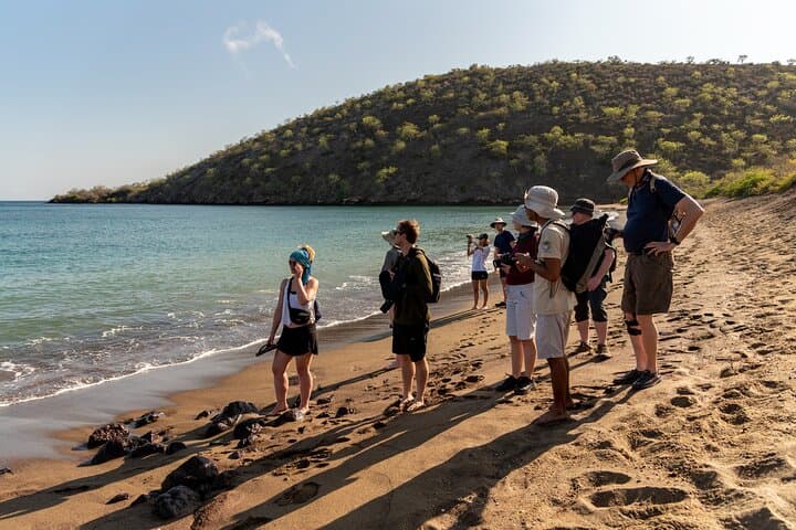 Galapagos Island Hopping: 8-Day Santa Cruz & Isabela Active Adventure