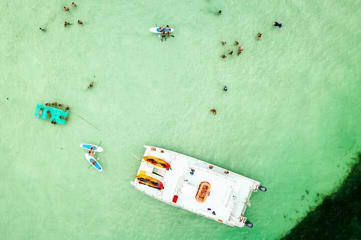 Explore Florida Keys’ Secluded Sandbar and Dolphin Playground: A Unique Marine Adventure photo 4