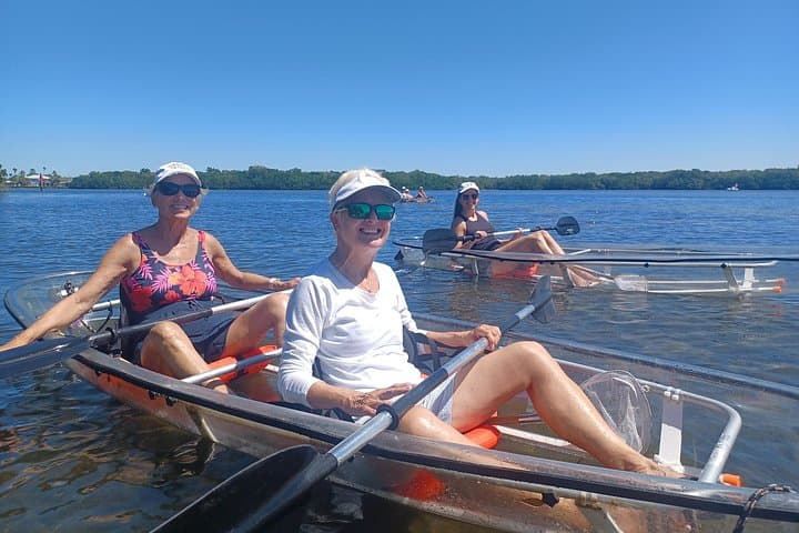 Clear Glass-Bottom Kayak Tour in Sarasota — See Manatees, Shells & Shallow Bays photo 3