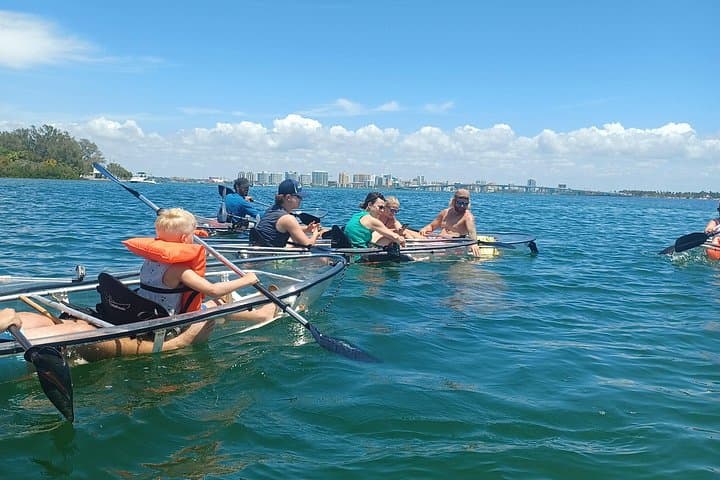Clear Glass-Bottom Kayak Tour in Sarasota — See Manatees, Shells & Shallow Bays photo 4