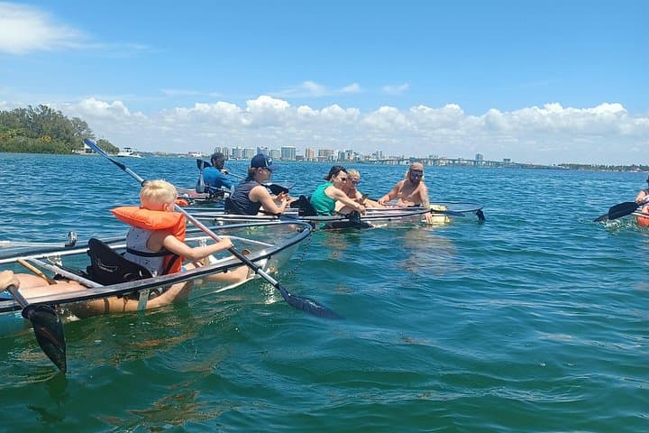 Clear Glass-Bottom Kayak Tour in Sarasota — See Manatees, Shells & Shallow Bays photo 1