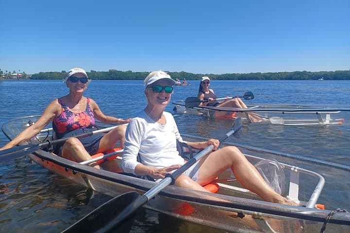 Clear Kayak Glass-Bottom Tour on Anna Maria Island — Paddle with Manatees & Dolphins photo 4