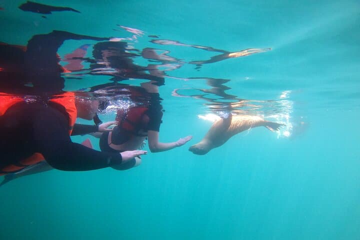 Espiritu Santo Island & Sea Lions Snorkeling Day Trip from La Paz photo 2