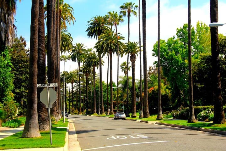 Getty Center to Griffith Observatory Private Guided Tour — LA Highlights in One Day photo 4