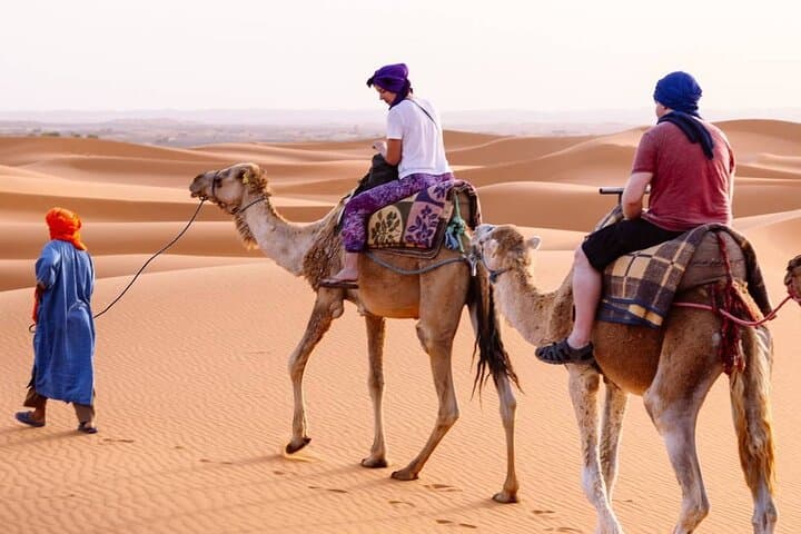Fes to Marrakech: 3-Day Private Desert Tour with Camel Trek and Erg Chebbi Camp photo 3