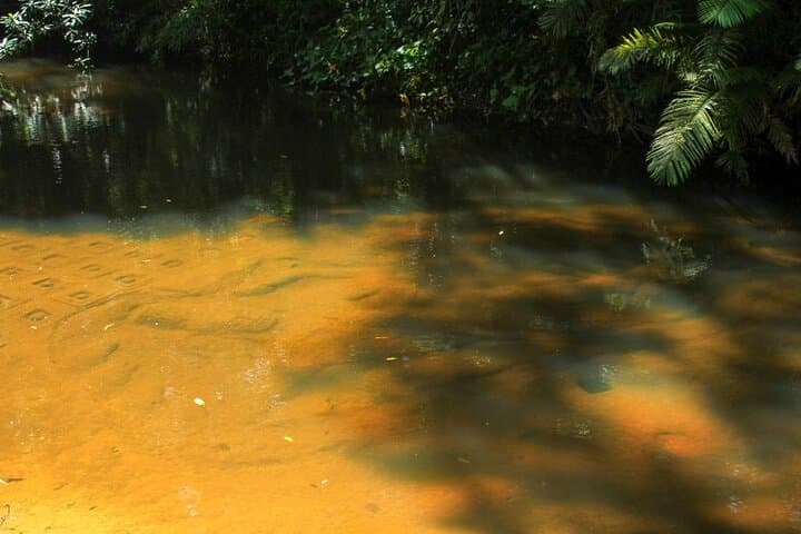 Kulen Mountain & Kampong Phluk: Sacred Waterfalls, 1,000 Lingas and Tonle Sap Sunset photo 5