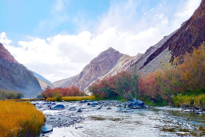 kashmir-ladakh-adventure-srinagar-to-pangong-high-altitude-tour photo 2