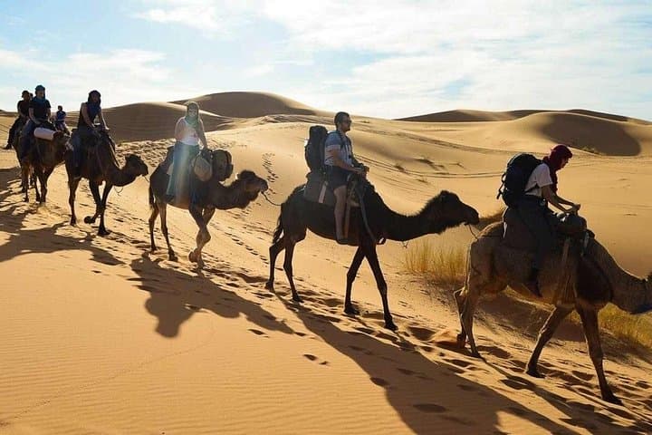 3-Day Desert Adventure from Marrakech to Merzouga: Camel Trek & Bivouac photo 5