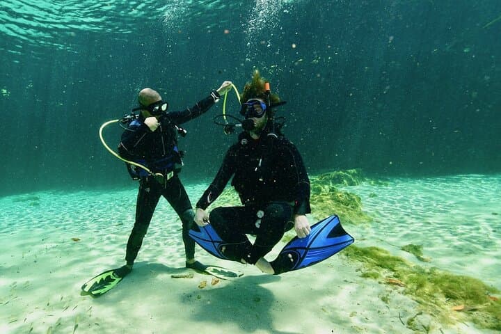 Discover Scuba Diving in Tulum Cenotes: Introductory Cenote Dive Experience photo 2