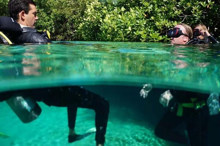 Discover Scuba Diving in Tulum Cenotes: Introductory Cenote Dive Experience photo 6