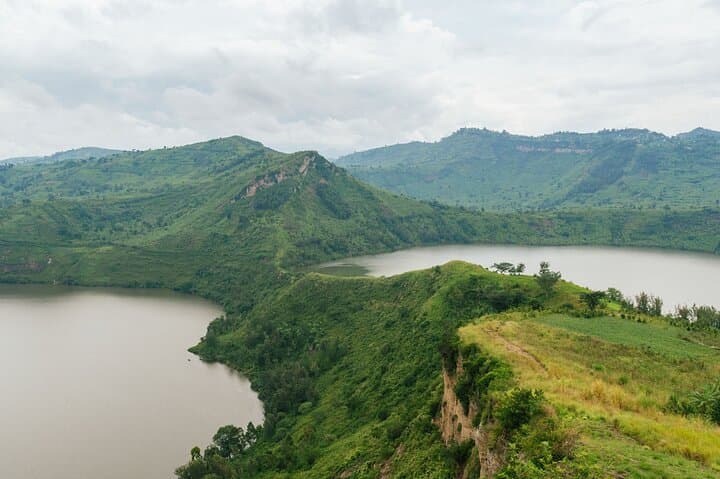7-Day Uganda Gorilla Tracking Safari — Bwindi Gorillas, Kibale Chimps & Kazinga Channel Cruise photo 5