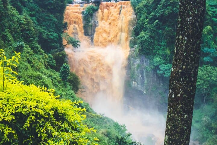 15-Day Private Sri Lanka Tour with Driver — Culture, Wildlife & Hill Country photo 2
