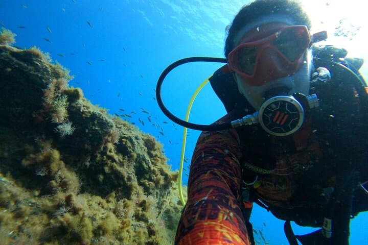 Discover Scuba Diving in Tenerife: Introductory Bay Dive at La Caleta photo 6