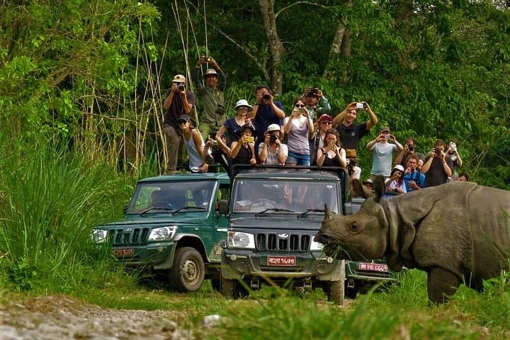 Chitwan Jungle Safari: 2-Night, 3-Day Wildlife Tour from Pokhara photo 2