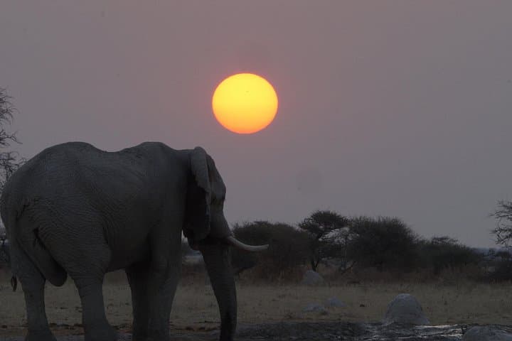 7-Day Victoria Falls, Chobe & Hwange Safari: Wildlife, Waterways and Conservation photo 4