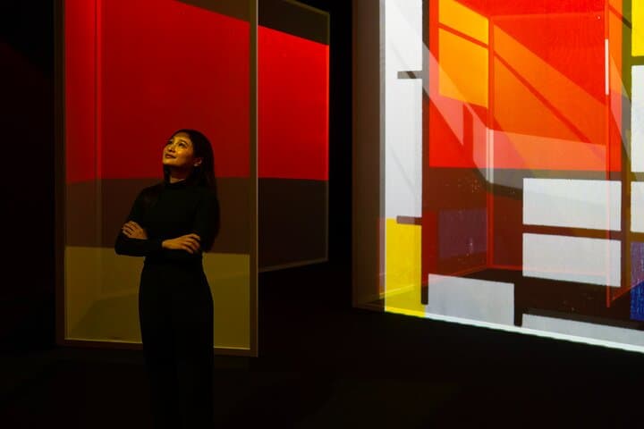 Frameless Immersive Art Experience London — 4 Galleries of 360° Visuals photo 6