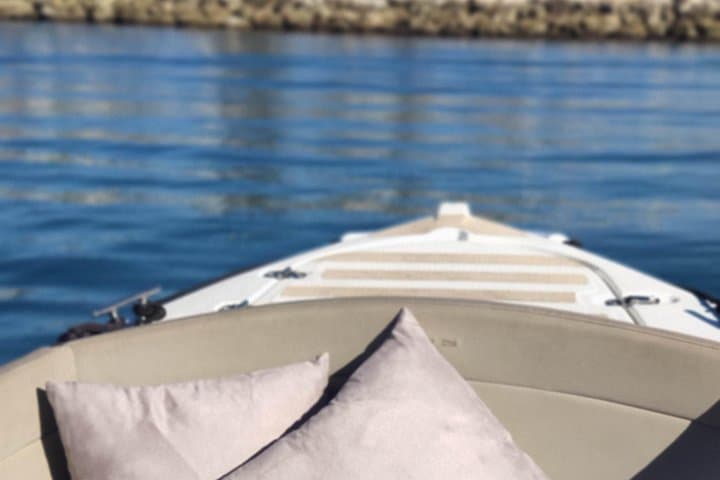 Benalmádena Boat Rental Without License — Costa del Sol Dolphin Cruise photo 3