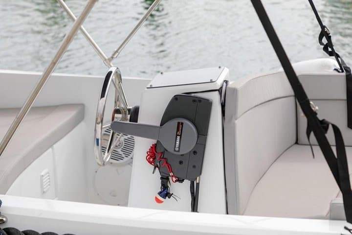 Benalmádena Boat Rental Without License — Costa del Sol Dolphin Cruise photo 4