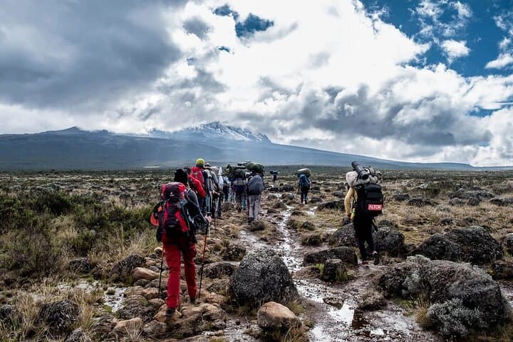 Private Day Hike on Kilimanjaro’s Marangu Route to Mandara Hut photo 6
