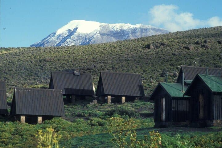 Private Day Hike on Kilimanjaro’s Marangu Route to Mandara Hut photo 3