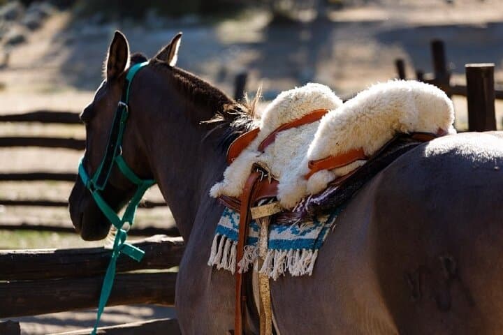 Horseback Through Estancia 25 de Mayo: Canyons, Streams & Gaucho Lunch photo 3