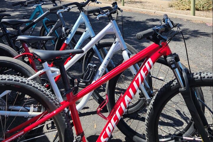Ride the Loop: 6-Hour Bike Rental on Tucson's Chuck Huckelberry Loop photo 2