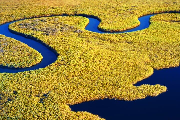 Savannah Dolphin Eco Tour: 2-Hour River Explorer to See Bottlenose Dolphins photo 3
