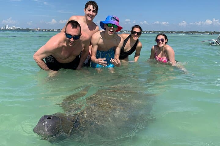 Private Luxury Boat Charter: Sarasota & Siesta Key Dolphin and Manatee Cruise photo 1