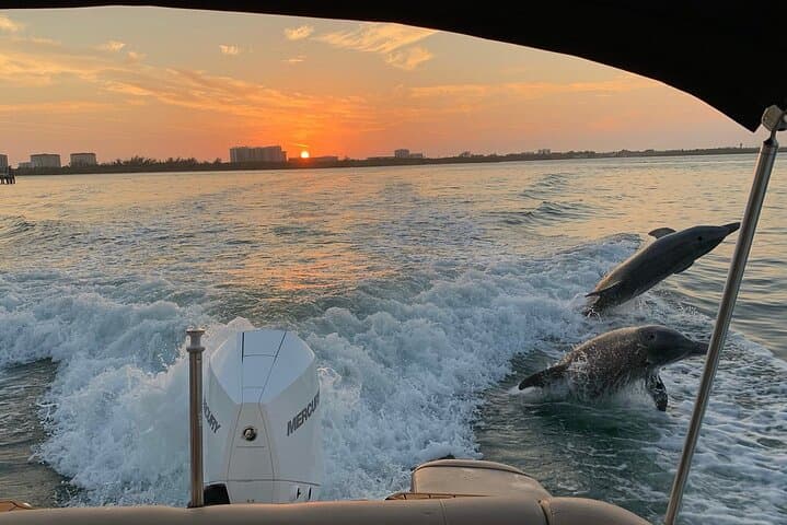 Private Luxury Boat Charter: Sarasota & Siesta Key Dolphin and Manatee Cruise photo 4