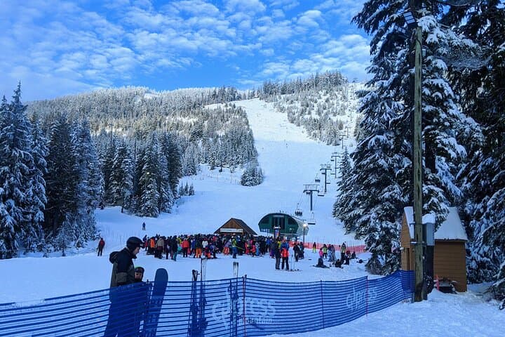 Vancouver Winter Mountain Tour: Grouse, Cypress & Seymour Private Day photo 4