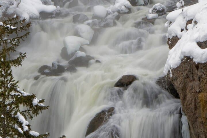 Winter Wolf Watching and Wildlife Safari in Yellowstone’s Lamar Valley photo 5