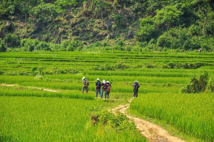 Pu Luong & Mai Chau 3-Day Trek: Rice Terraces, River Crossings and Thai Homestays photo 3