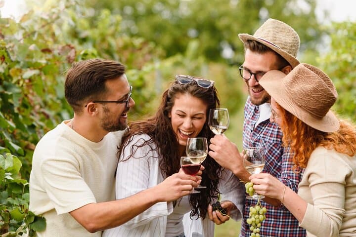 Full-Day Finger Lakes Wine Tour from Ithaca: Cayuga, Seneca & Keuka Lakes photo 4