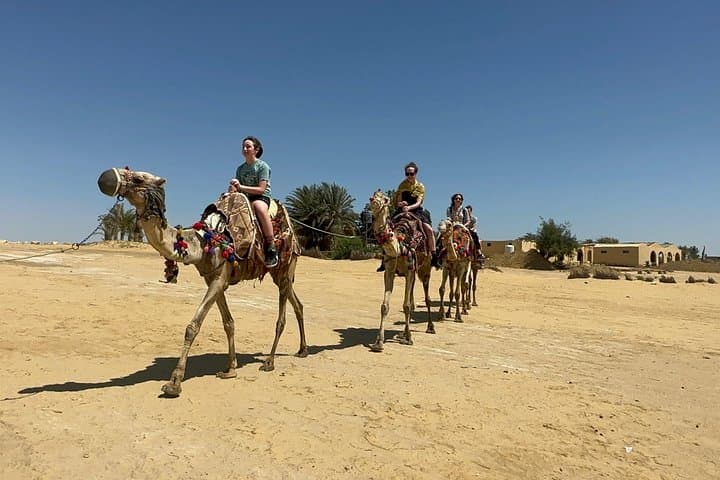 Wadi El Rayan Desert Safari from Cairo — Waterfalls, Sandboarding & Camel Ride photo 4