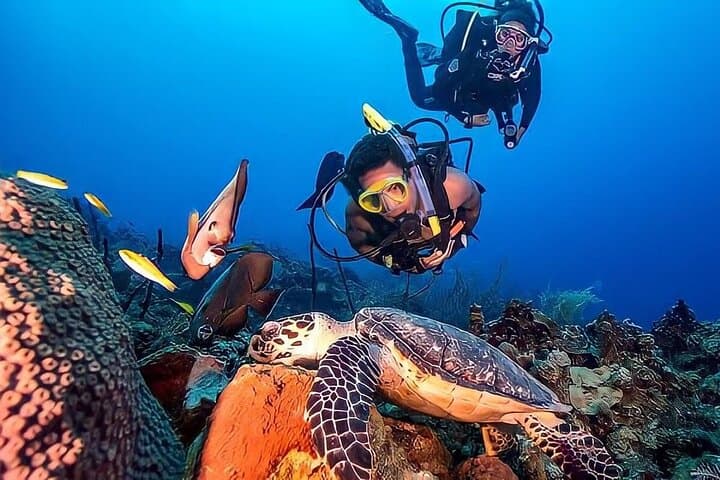 Kemer Scuba Diving: Two Guided Dives with BBQ Lunch & Roundtrip Transfer
