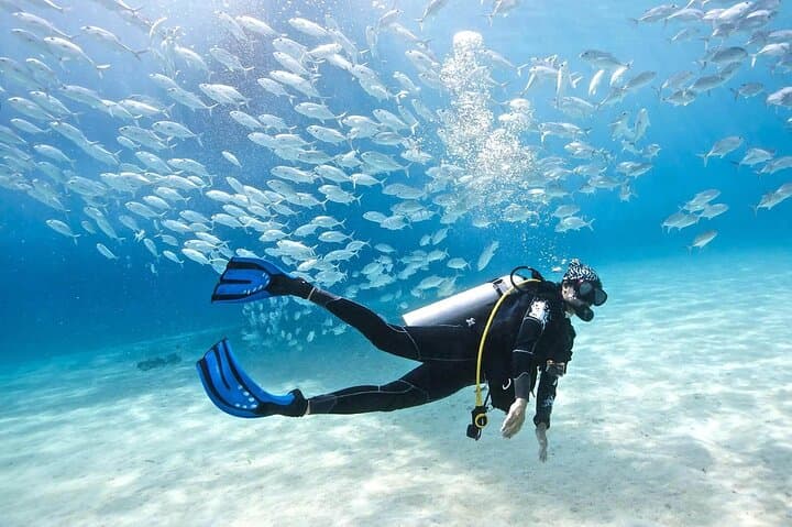 Belek Scuba Diving: Day Trip to Kemer Reefs, Aquarium Bay & Cave Dives photo 6