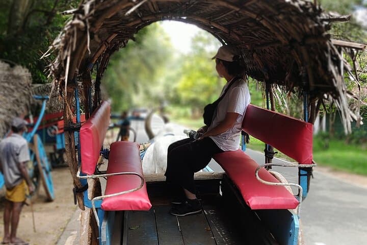 Sigiriya Rock Fortress & Dambulla Cave Temple Day Tour from Colombo photo 5