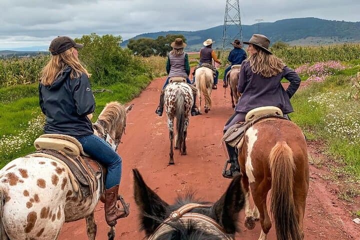 Concon Adventure: Horseback Riding, Surfing & Sandboarding Day Trip from Valparaíso photo 4