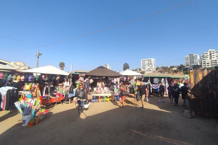 Concon Adventure: Horseback Riding, Surfing & Sandboarding Day Trip from Valparaíso photo 3