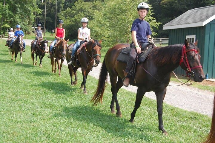 Gallop Belek: 3-Hour Horseback Ride Along Beaches, Pine Forests & Taurus Foothills photo 2