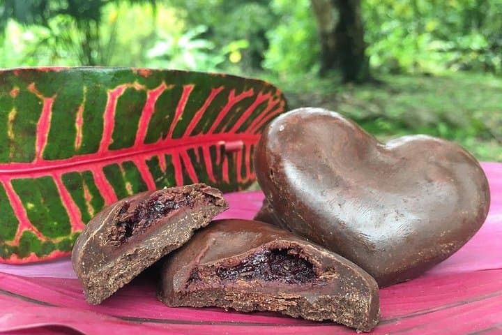 Cacao to Chocolate: Artisanal Workshop & Cacao-Forest Tour near Santa Marta photo 3