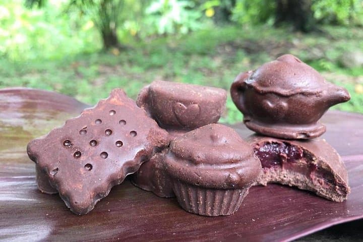 Cacao to Chocolate: Artisanal Workshop & Cacao-Forest Tour near Santa Marta photo 4