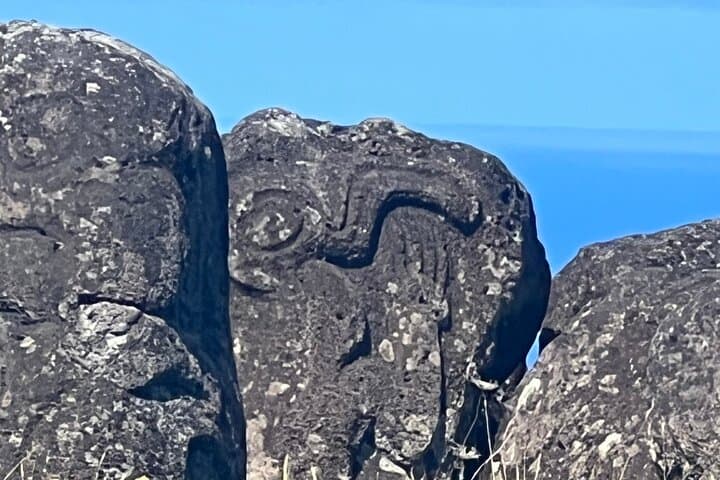 Easter Island Two-Day Archaeological Circuit: Moai, Orongo & Anakena photo 4