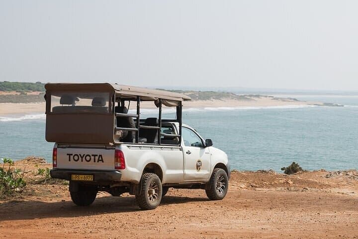 Udawalawe National Park Safari from Hambantota — Half- or Full-Day Wildlife Drive photo 4