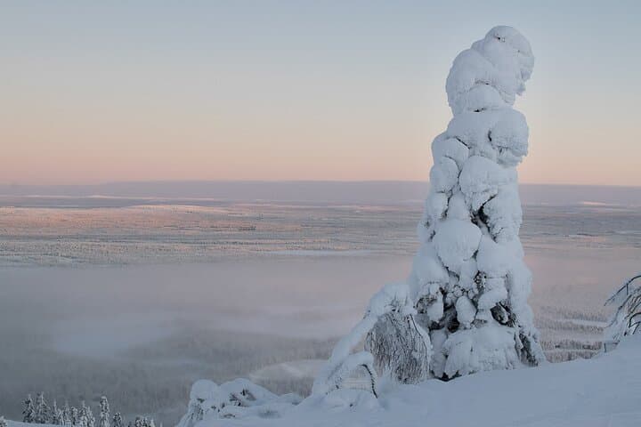 Scenic Snowshoeing on the Top of Pyhä Fell — Lapland Chairlift Snowshoe Tour photo 6