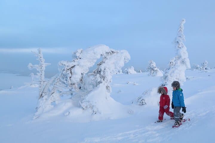 Scenic Snowshoeing on the Top of Pyhä Fell — Lapland Chairlift Snowshoe Tour photo 4