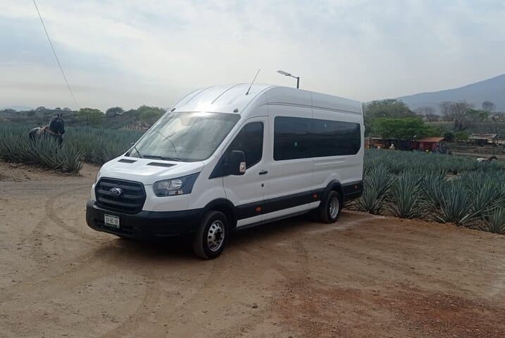 Private Tequila Day Tour: Agave Fields, Distillery Visits & Cantina Tastes from Guadalajara
