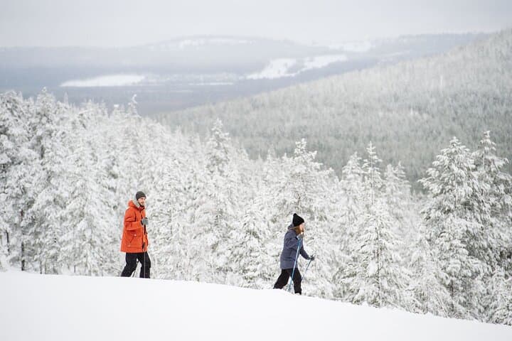 Premium Wilderness Skiing in Pyhä-Luosto National Park — Altai Ski Tour